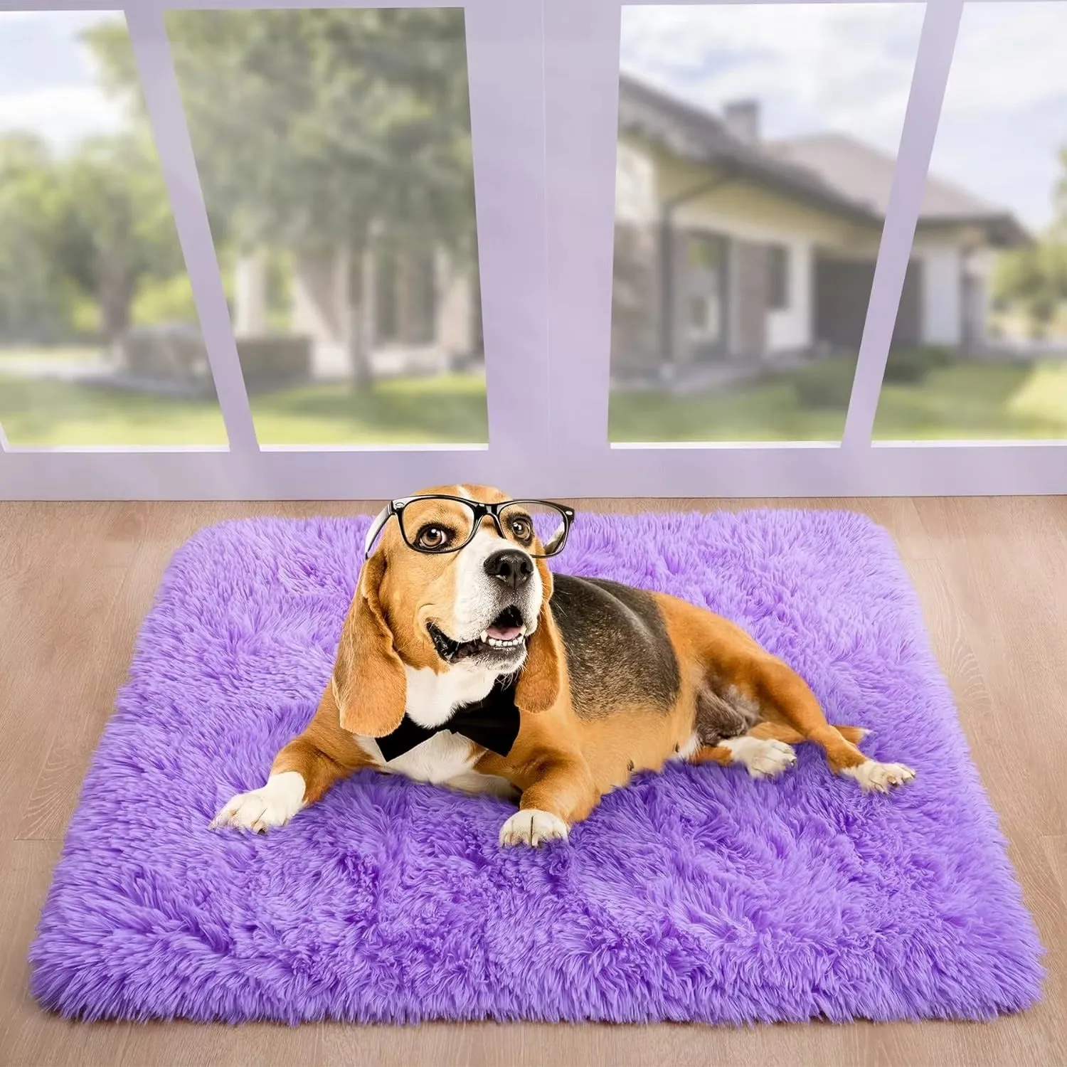 Anti-Slip Soft Fluffy Door Mat-Purple