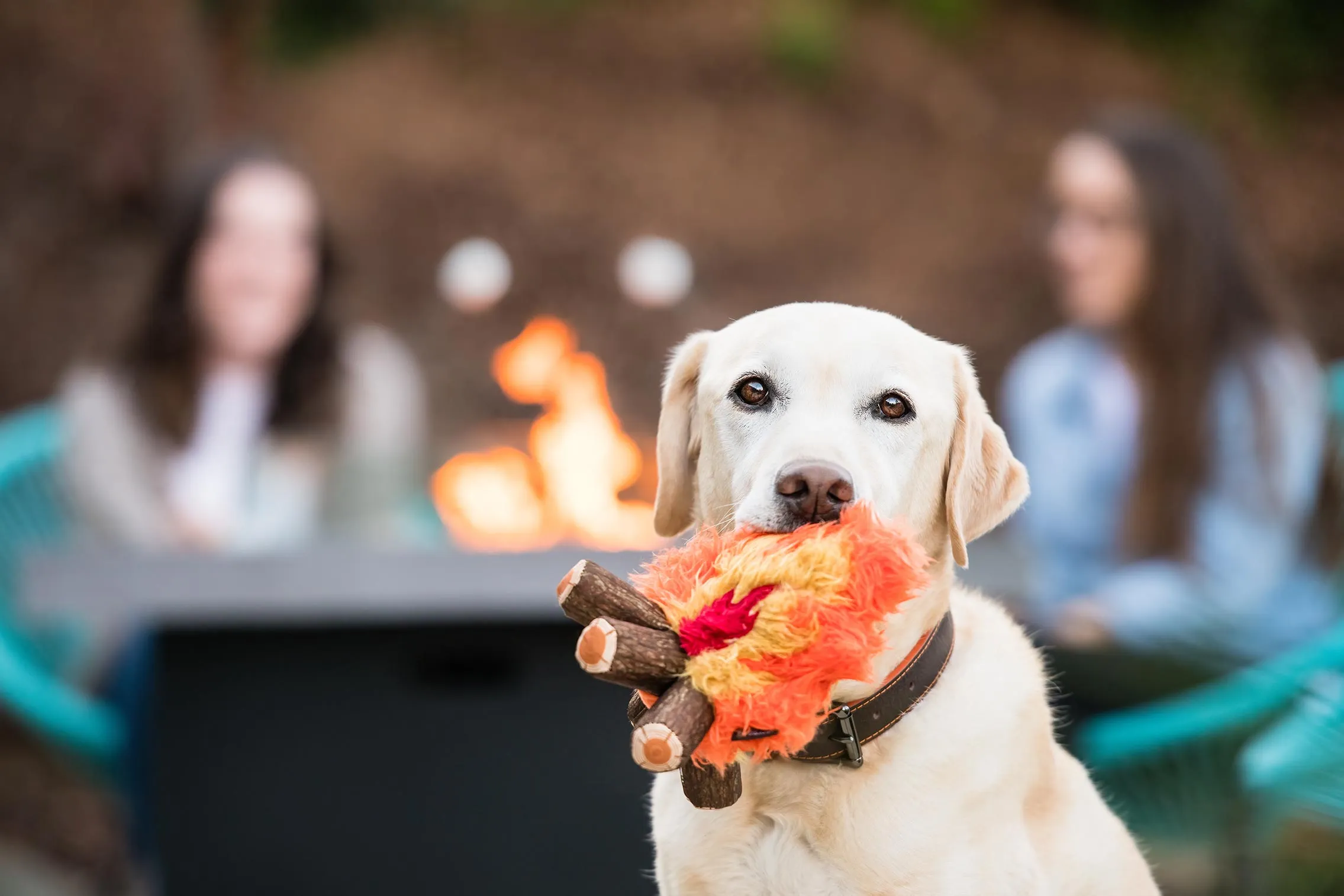 Camp Corbin Squeaky Plush Dog toys, Cozy Campfire