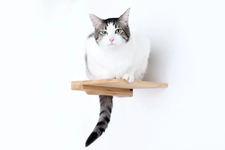 Cat Climbing Shelf