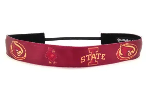 NCAA Iowa State Team Colors (SKU 1436)