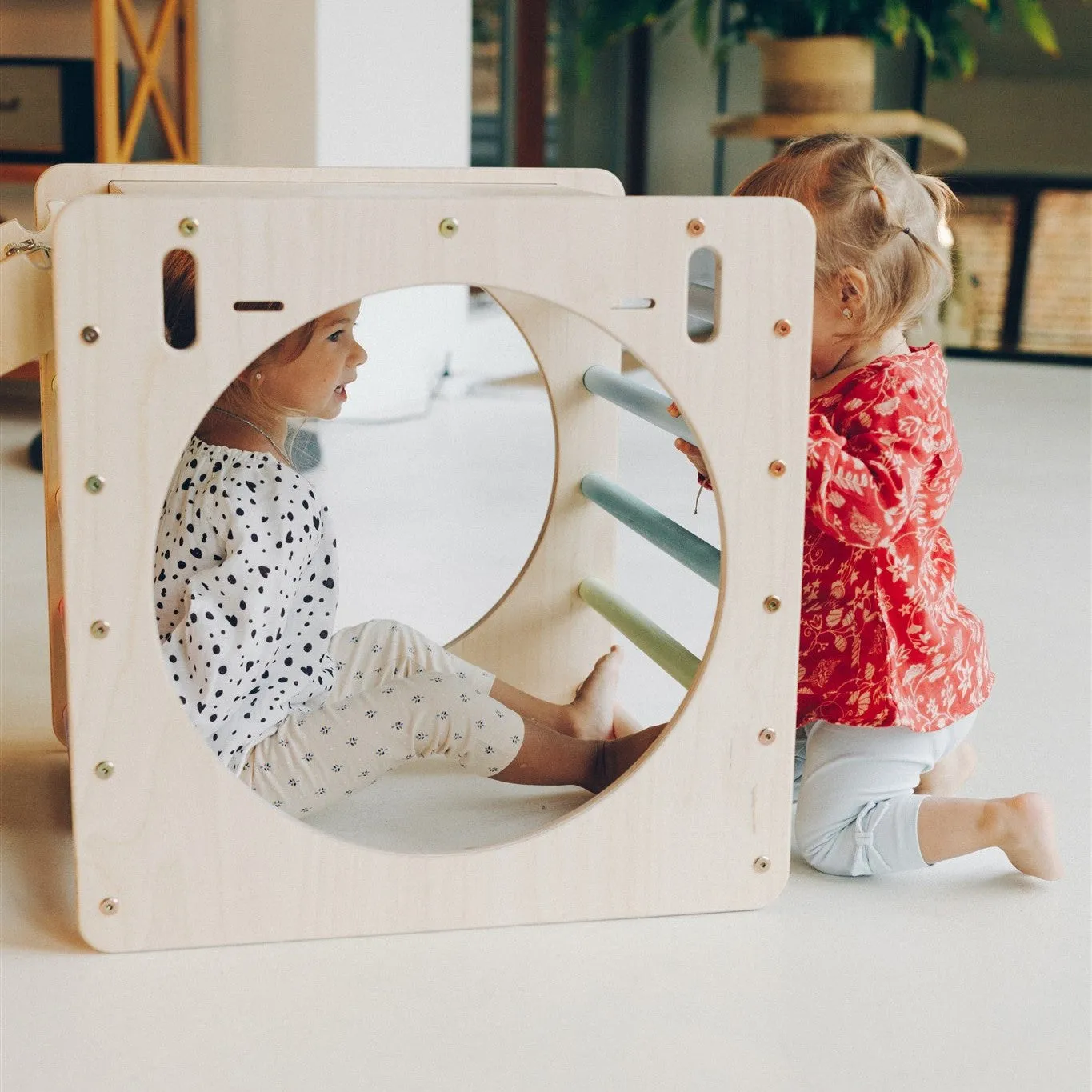 Playset Curiosity