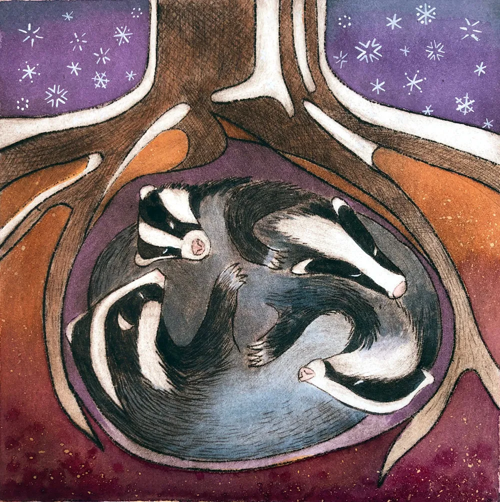 Sleeping badgers